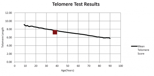Telomere testing anti aging